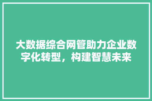 大数据综合网管助力企业数字化转型，构建智慧未来