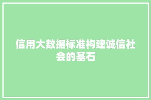 信用大数据标准构建诚信社会的基石
