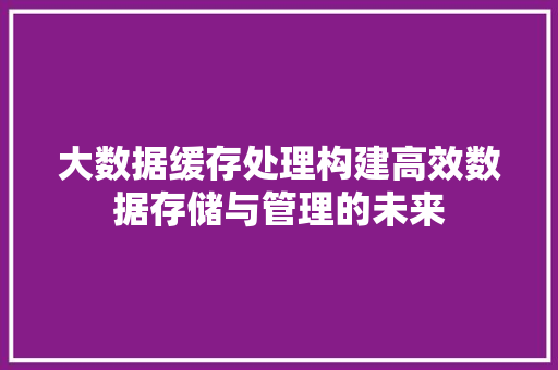 大数据缓存处理构建高效数据存储与管理的未来  第1张