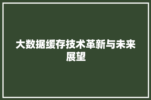 大数据缓存技术革新与未来展望  第1张