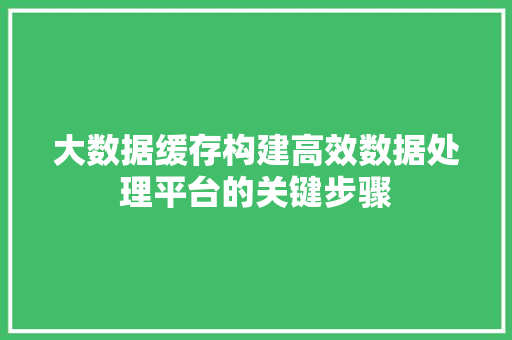 大数据缓存构建高效数据处理平台的关键步骤  第1张