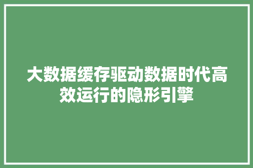 大数据缓存驱动数据时代高效运行的隐形引擎