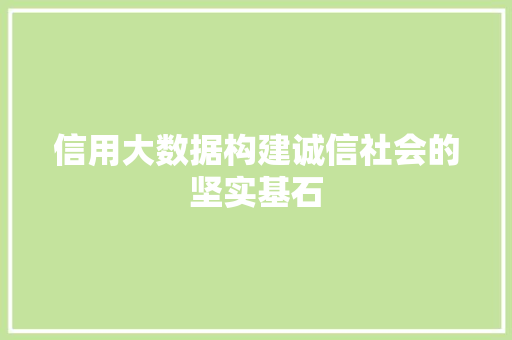 信用大数据构建诚信社会的坚实基石  第1张