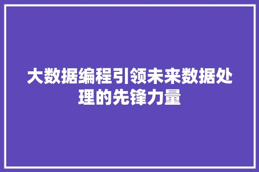 大数据编程引领未来数据处理的先锋力量  第1张