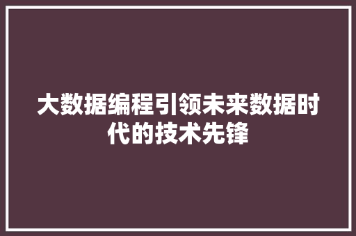 大数据编程引领未来数据时代的技术先锋  第1张