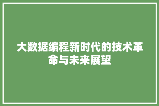 大数据编程新时代的技术革命与未来展望