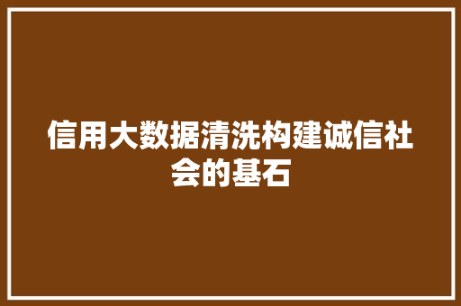 信用大数据清洗构建诚信社会的基石  第1张