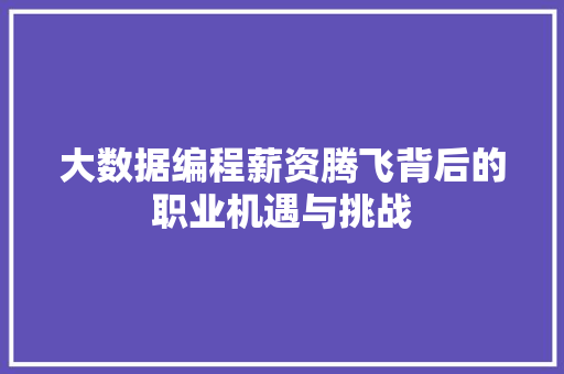 大数据编程薪资腾飞背后的职业机遇与挑战  第1张