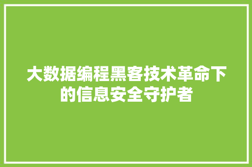 大数据编程黑客技术革命下的信息安全守护者  第1张