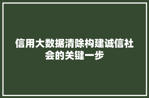 信用大数据清除构建诚信社会的关键一步  第1张