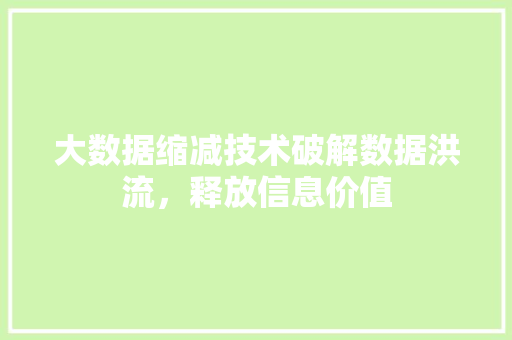 大数据缩减技术破解数据洪流，释放信息价值