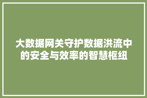 大数据网关守护数据洪流中的安全与效率的智慧枢纽  第1张