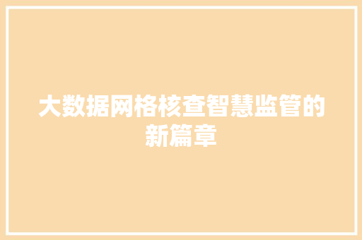 大数据网格核查智慧监管的新篇章  第1张