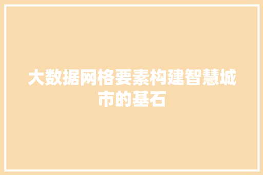 大数据网格要素构建智慧城市的基石