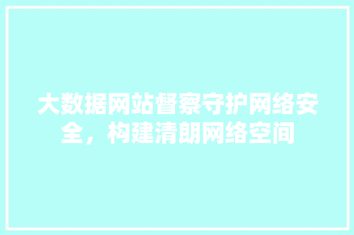 大数据网站督察守护网络安全，构建清朗网络空间