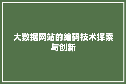 大数据网站的编码技术探索与创新