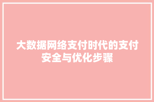 大数据网络支付时代的支付安全与优化步骤  第1张