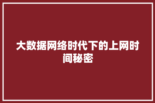 大数据网络时代下的上网时间秘密