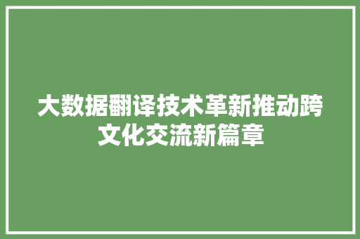 大数据翻译技术革新推动跨文化交流新篇章  第1张