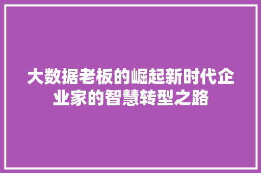 大数据老板的崛起新时代企业家的智慧转型之路