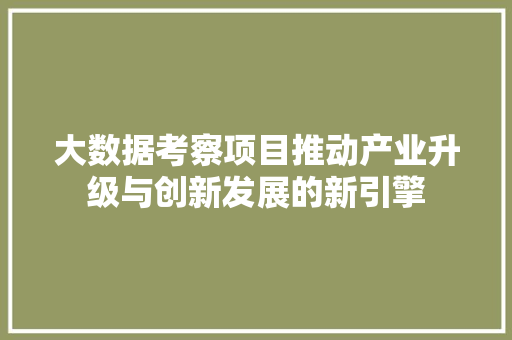 大数据考察项目推动产业升级与创新发展的新引擎