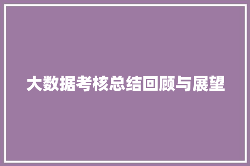 大数据考核总结回顾与展望