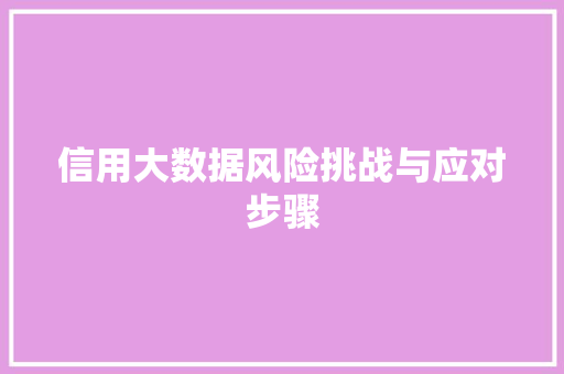 信用大数据风险挑战与应对步骤  第1张