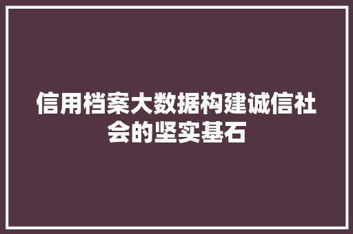 信用档案大数据构建诚信社会的坚实基石