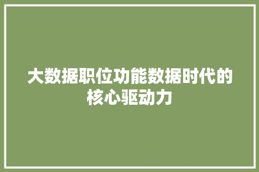 大数据职位功能数据时代的核心驱动力