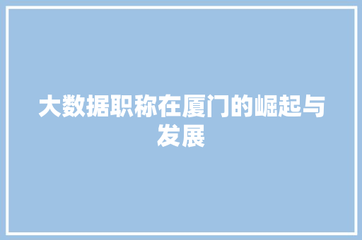 大数据职称在厦门的崛起与发展