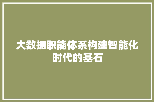 大数据职能体系构建智能化时代的基石