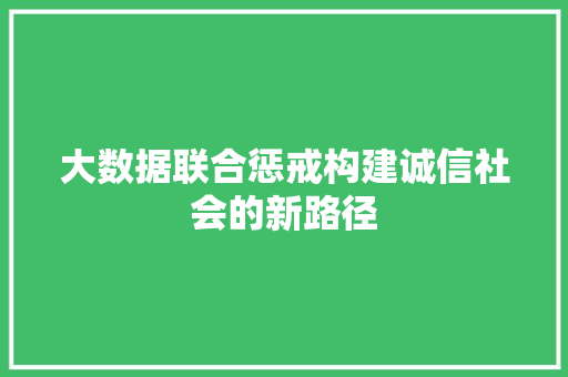 大数据联合惩戒构建诚信社会的新路径