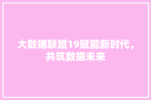 大数据联盟19赋能新时代，共筑数据未来  第1张