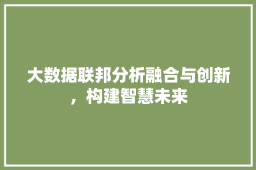大数据联邦分析融合与创新，构建智慧未来
