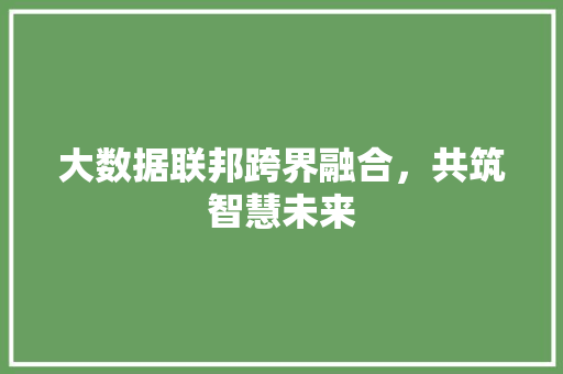 大数据联邦跨界融合，共筑智慧未来