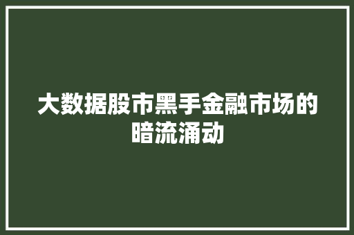 大数据股市黑手金融市场的暗流涌动