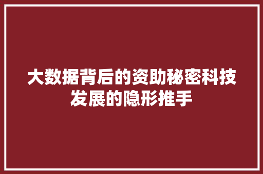 大数据背后的资助秘密科技发展的隐形推手