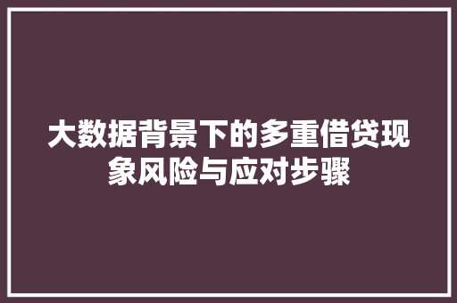 大数据背景下的多重借贷现象风险与应对步骤
