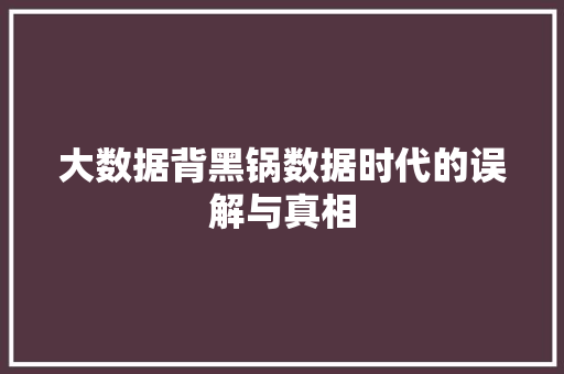 大数据背黑锅数据时代的误解与真相  第1张