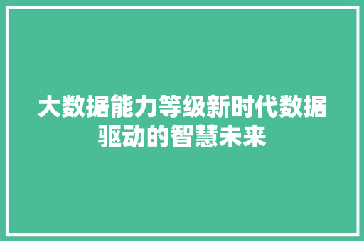 大数据能力等级新时代数据驱动的智慧未来