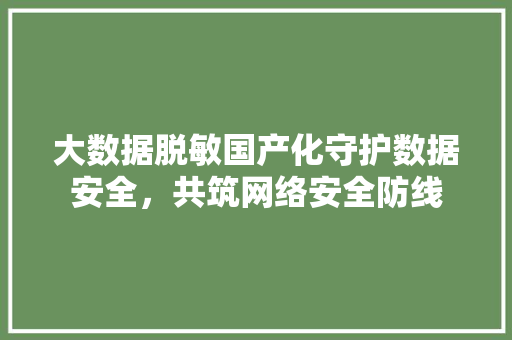 大数据脱敏国产化守护数据安全，共筑网络安全防线