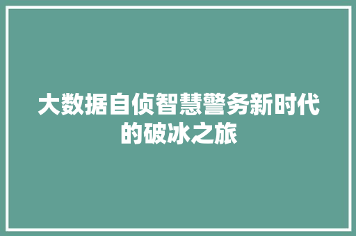 大数据自侦智慧警务新时代的破冰之旅
