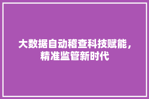 大数据自动稽查科技赋能，精准监管新时代  第1张
