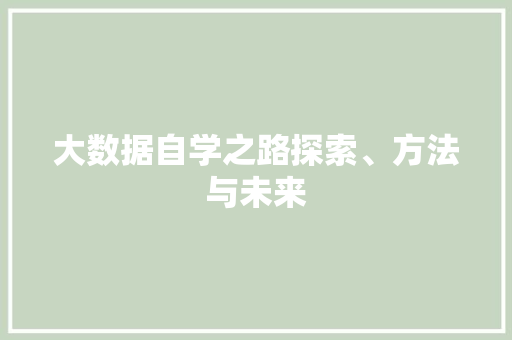 大数据自学之路探索、方法与未来  第1张