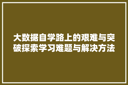 大数据自学路上的艰难与突破探索学习难题与解决方法
