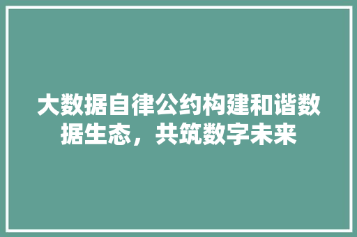 大数据自律公约构建和谐数据生态，共筑数字未来