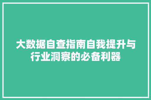 大数据自查指南自我提升与行业洞察的必备利器