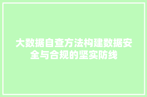 大数据自查方法构建数据安全与合规的坚实防线