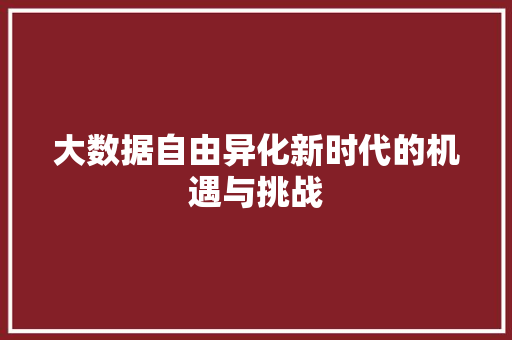 大数据自由异化新时代的机遇与挑战
