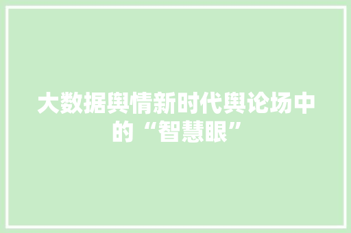 大数据舆情新时代舆论场中的“智慧眼”  第1张